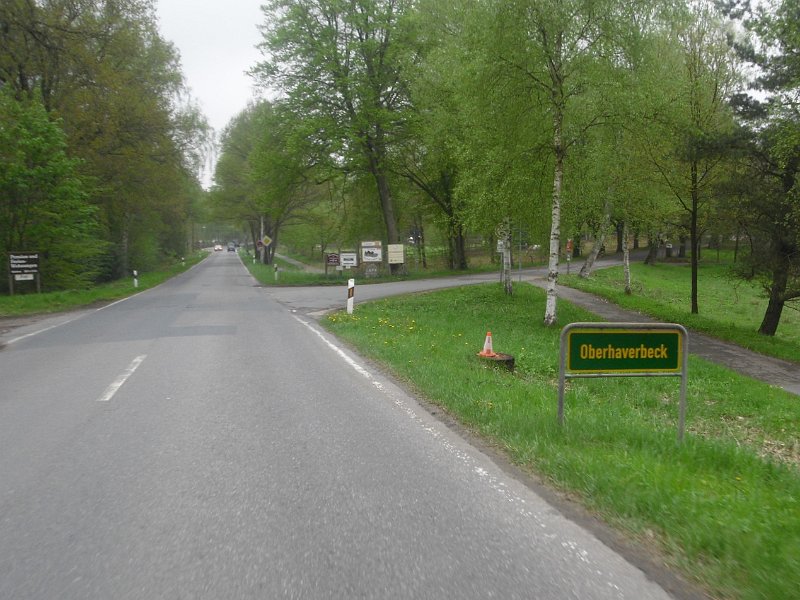 Buchholz 2010 089